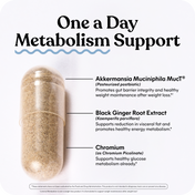Supplement capsule labeled 'One a Day Metabolism Support' with ingredients listed on a white background.